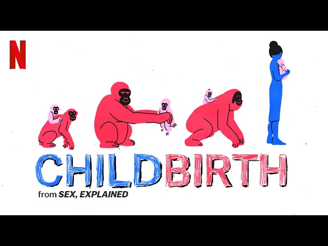 Childbirth | from Sex, Explained on Netflix