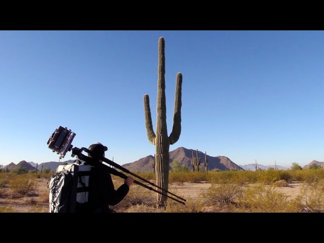 Photography On Location: Sonoran Desert Saguaros (Pt. 2)