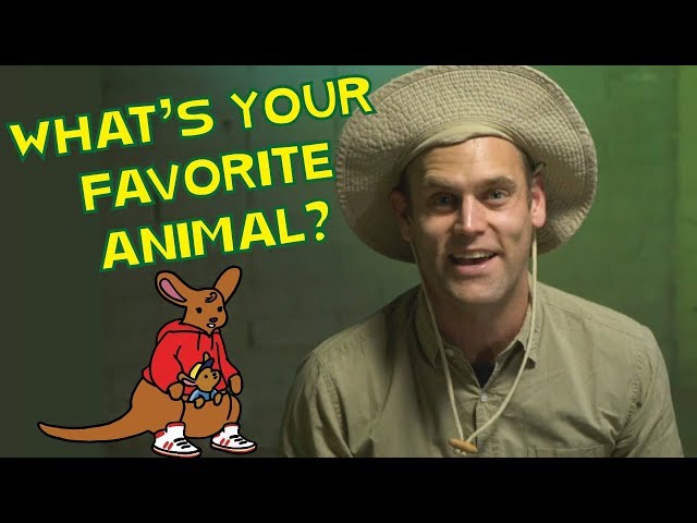 What's Your Favorite Animal? | King of the Jungle | Ask CJ and Friends