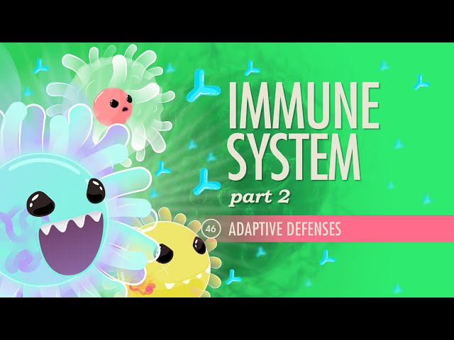 Immune System, Part 2: Crash Course Anatomy & Physiology #46