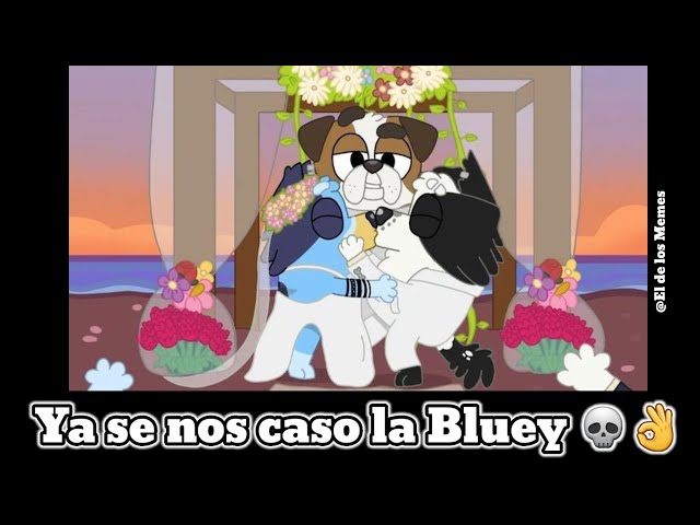 Bluey Momentos XD - bluey xd