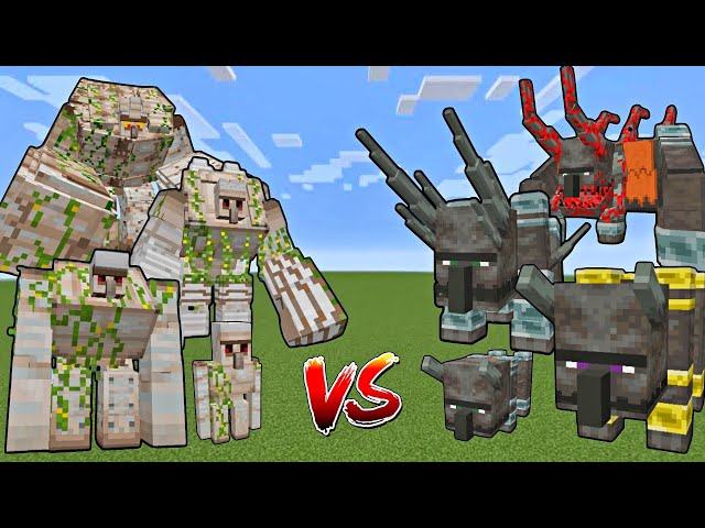IRON GOLEM vs RAVAGER AT EVERY AGE😱 | Minecraft Mobs Fight #minecraft