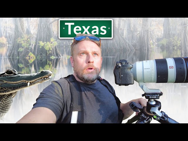 Kayaking The Bayou With Professional Photographer Fototripper