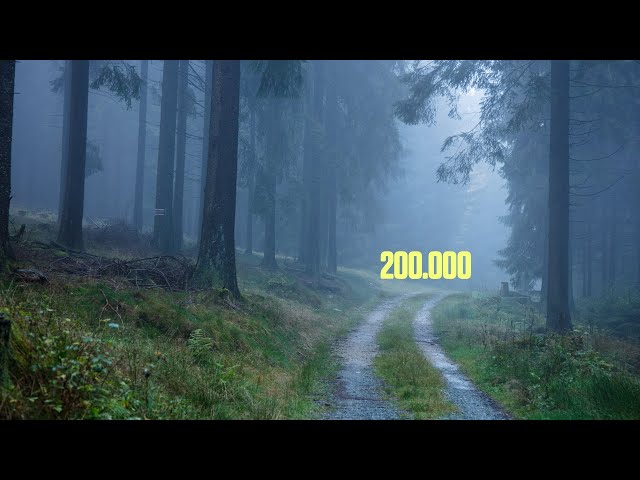 Der Weg zum 200.000sten Abonnenten – 🔴 Livestream
