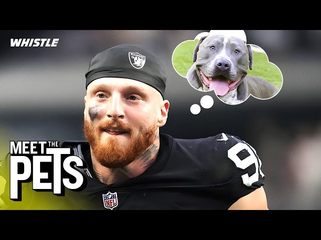 Meet The NFL’s BIGGEST Dog Lovers! 🐶