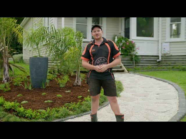 How to Create a Classic Low Maintenance Garden | Mitre 10 Easy As
