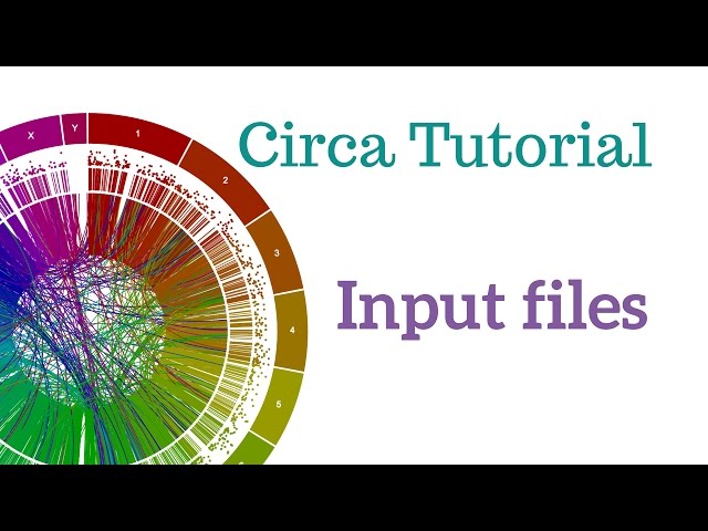 Circa tutorial input files