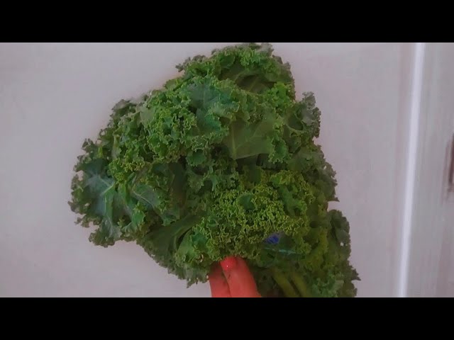 How to preserve kale in the freezer