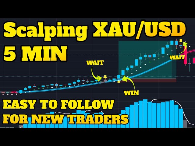 BEST Gold Scalping Strategy [SUPER EASY XAUUSD Scalping Strategy]