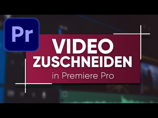VIDEOS ZUSCHNEIDEN in Adobe Premiere Pro