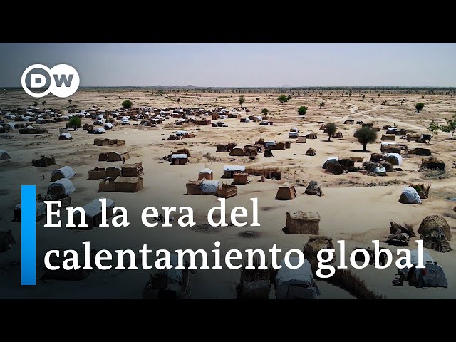 Cómo contrarrestar la crisis climática | DW Documental