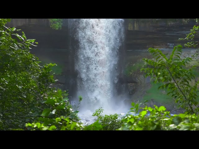 Roaring Waterfall | Water White Noise for Focus, Studying, Sleep or Relaxation