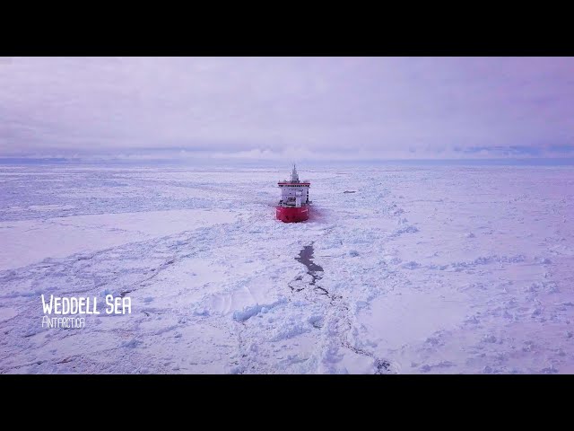 Discovering the Weddell Sea