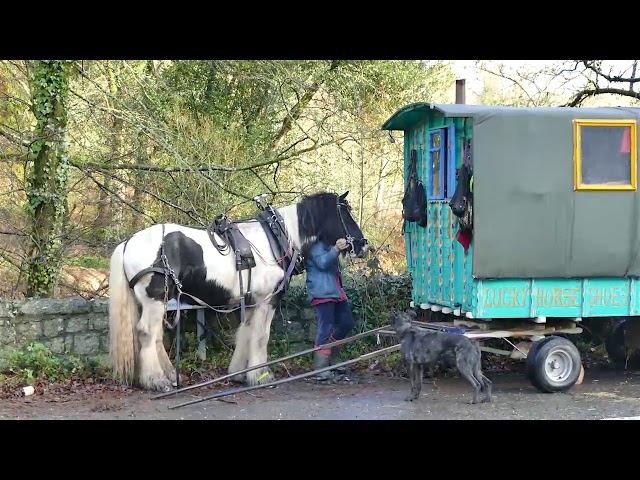 Horse Drawn Traveller in Britain