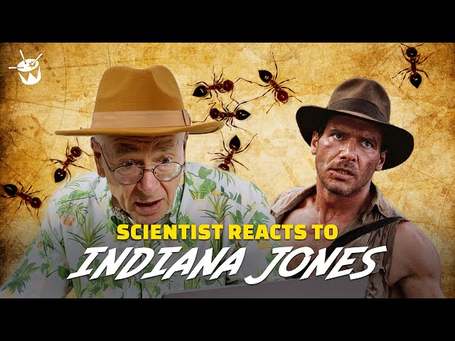 Dr Karl reacts to Indiana Jones