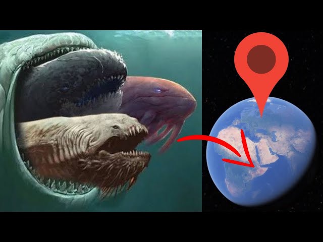 Bloop, Megalodon, Blue Whale, Shark, Giant Squid In Real Life on Google Earth! Deep Sea Monsters