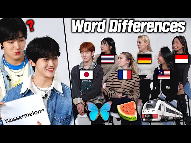 Koreans Compare Extream Word Around The World! l FT. LUN8wave l Word Differences