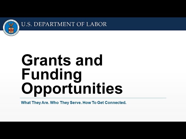 2024 DOL Grants Webinar: What They Are, Who They Serve, How to Apply