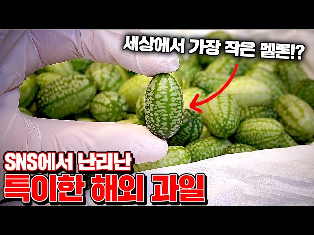 Strange Exotic Fruit Review in Korea!!! [Kkuk TV]