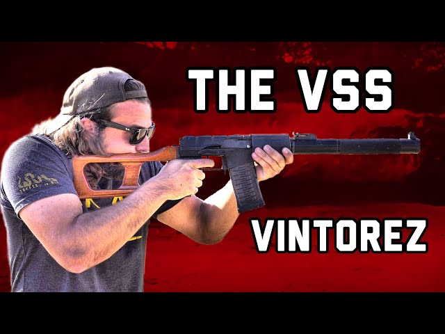 The VSS Vintorez