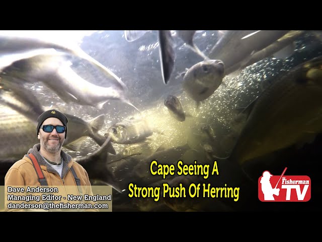March 30, 2023  New England Video Fishing Forecast with Dave Anderson