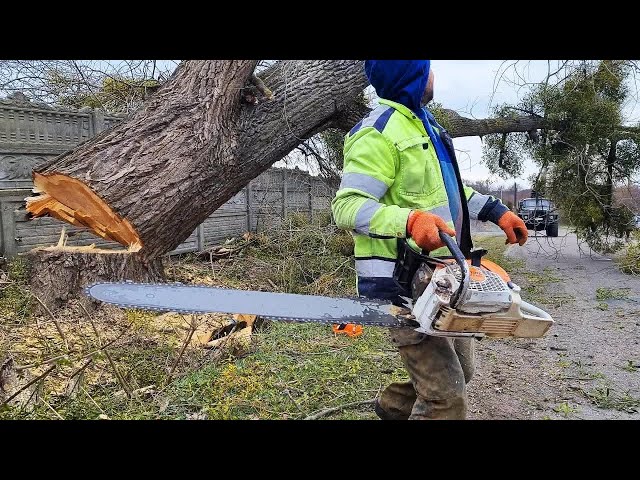Fastest Big Chainsaw Cutting Tree Machines Skills Incredible Homemade Wood Cutting Machine