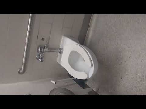 Toilet Showcase Videos