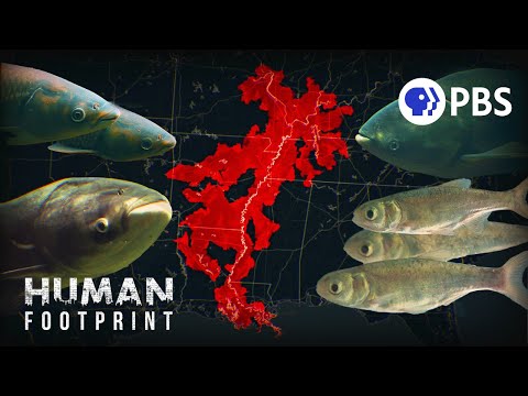 Human Footprint | PBS