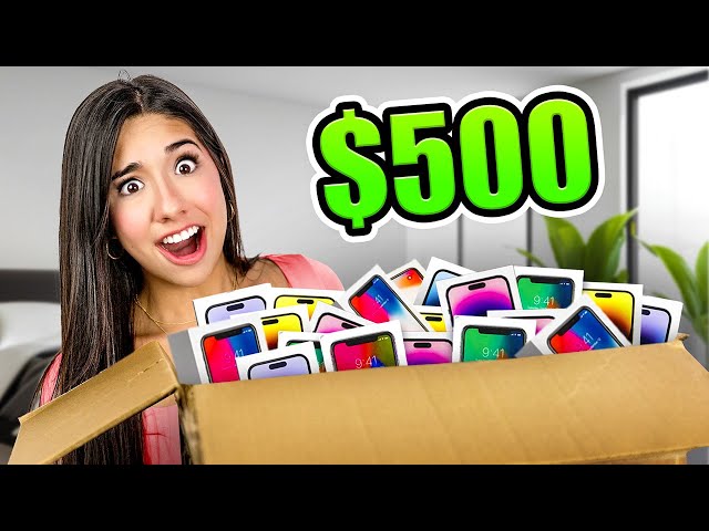I Bought 50 iPhones for ONLY $500