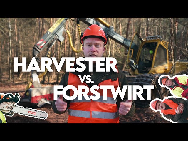 Mensch vs. Maschine! Wer ist besser: Harvester oder Forstwirte? - Forst erklärt