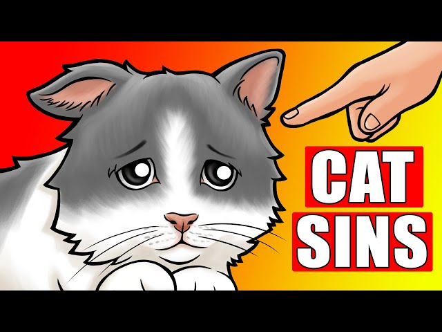 23 Things You Should NEVER Do to Your Cat (#1 Might Surprise You)