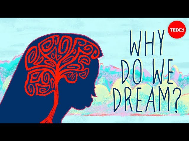 Why do we dream? - Amy Adkins