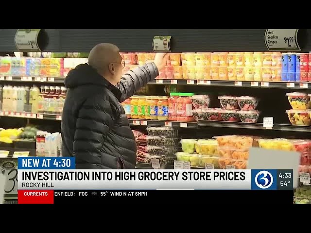 Investigation into high grocery store prices