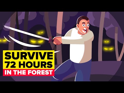 Surviving 72 Hours in the Forest Alone (CHALLENGE & EXPERIMENT)