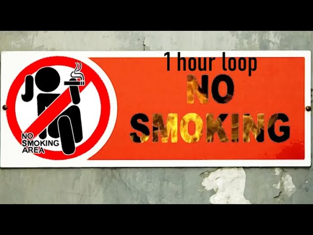 No smoking area - Minus8 - 1  hour loop