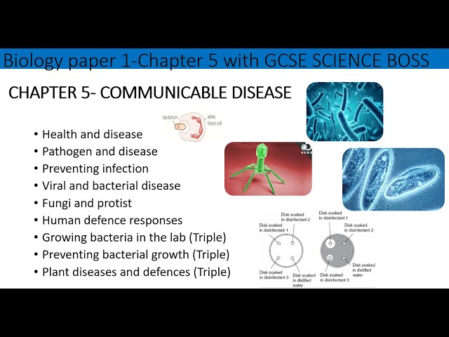 Chapter 5-B1-AQA Communicable Diseases -Full chapter revision for GCSE in 35 mins- Grade 4-9