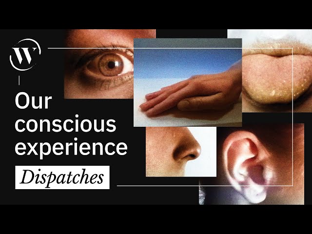 Consciousness: Not just a problem for philosophers | Dispatches from The Well Ep. 5