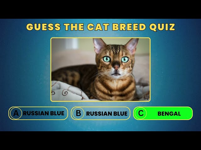 🐱 Guess The Cat Breed Challenge! 😺 Can You Identify These Feline Friends? 🧐