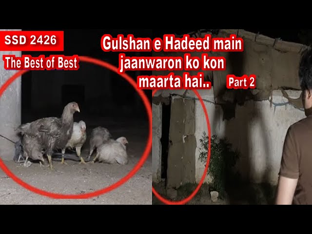 SSD 2426 |  Gulshan e Hadeed main jaanwaron ko kon maarta hai.| Part 2