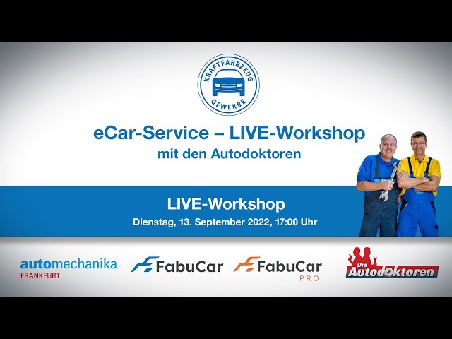 eCar-Service | Live-Workshop mit den Autodoktoren