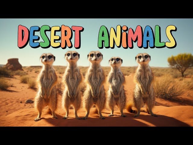 Desert Animals for Kids | Children's Vocabulary | English Flashcards