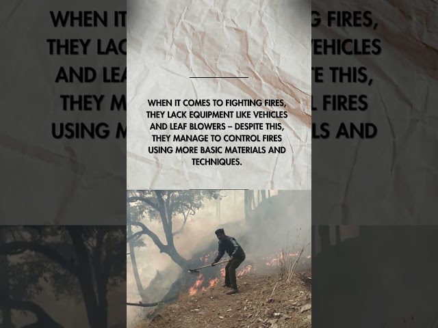 Why locals are more likely to fight some forest fires in Uttarakhand than others