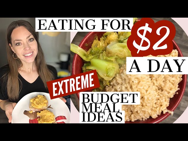 EATING FOR $2 A DAY Extreme Budget Meal Ideas & Recipes | Vegan On A Budget | Financial Freedom