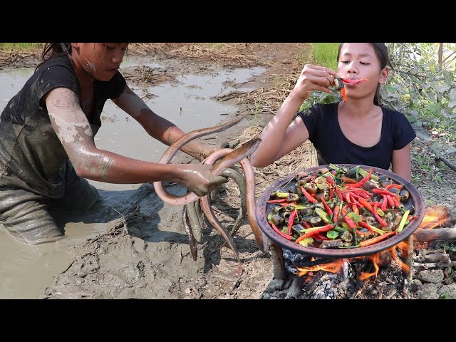 Catching skills Eels In muddy ground for Lunch - Yummy Cook Eels recipe with Spicy Chili