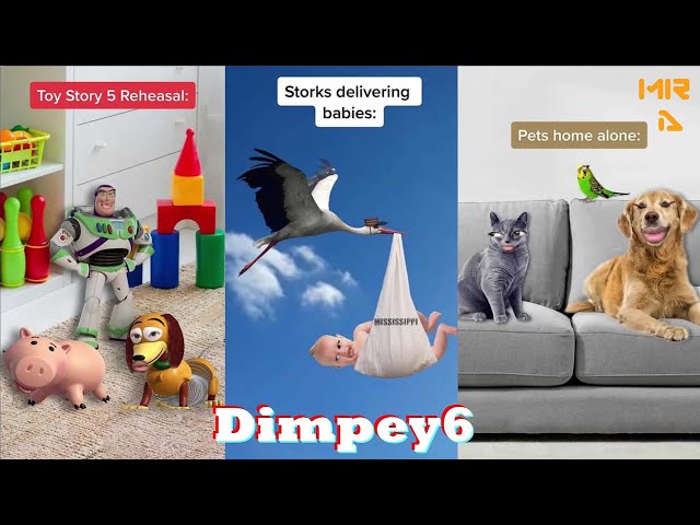*3Hour* All Dimpey6 TikToks 2023 | Funny Dimpey6 TikTok Videos 2021 - 2023