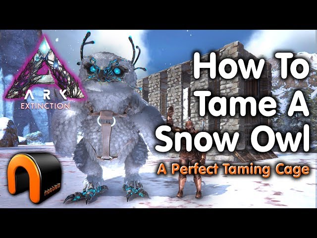 ARK Extinction How to Tame A SNOW OWL - BEST CAGE & Kibble!
