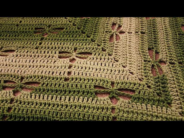 Part 1 - Top-Down Dragonfly Shawl - Crochet Tutorial!
