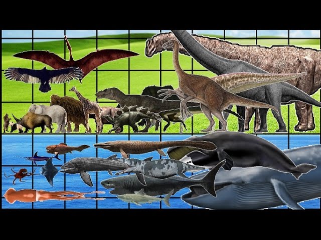 ALL Animals, Dinosaurs & Sea Monsters SIZE COMPARISON