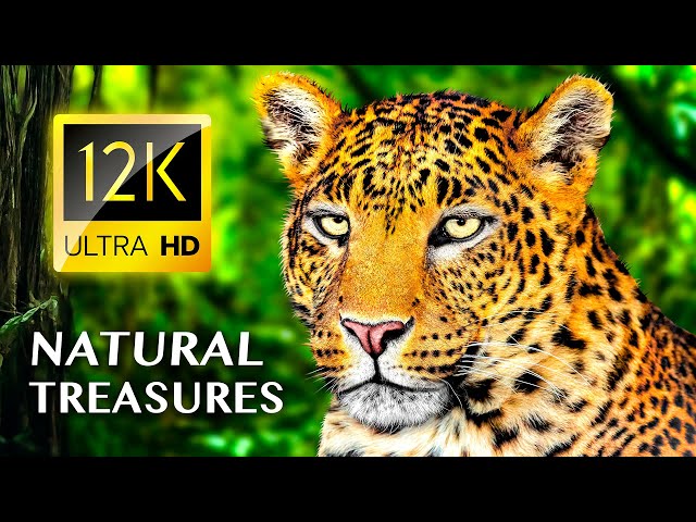 Earth's Most Breathtaking Natural Treasures 12K ULTRA HD