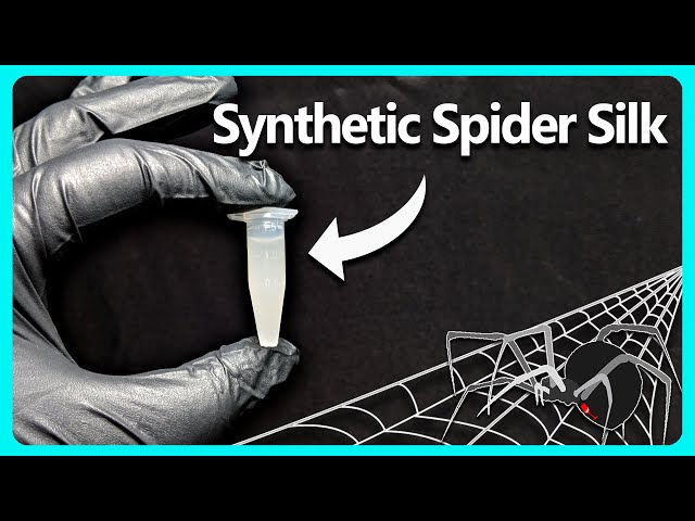 I Grew Real Spider Silk Using Yeast